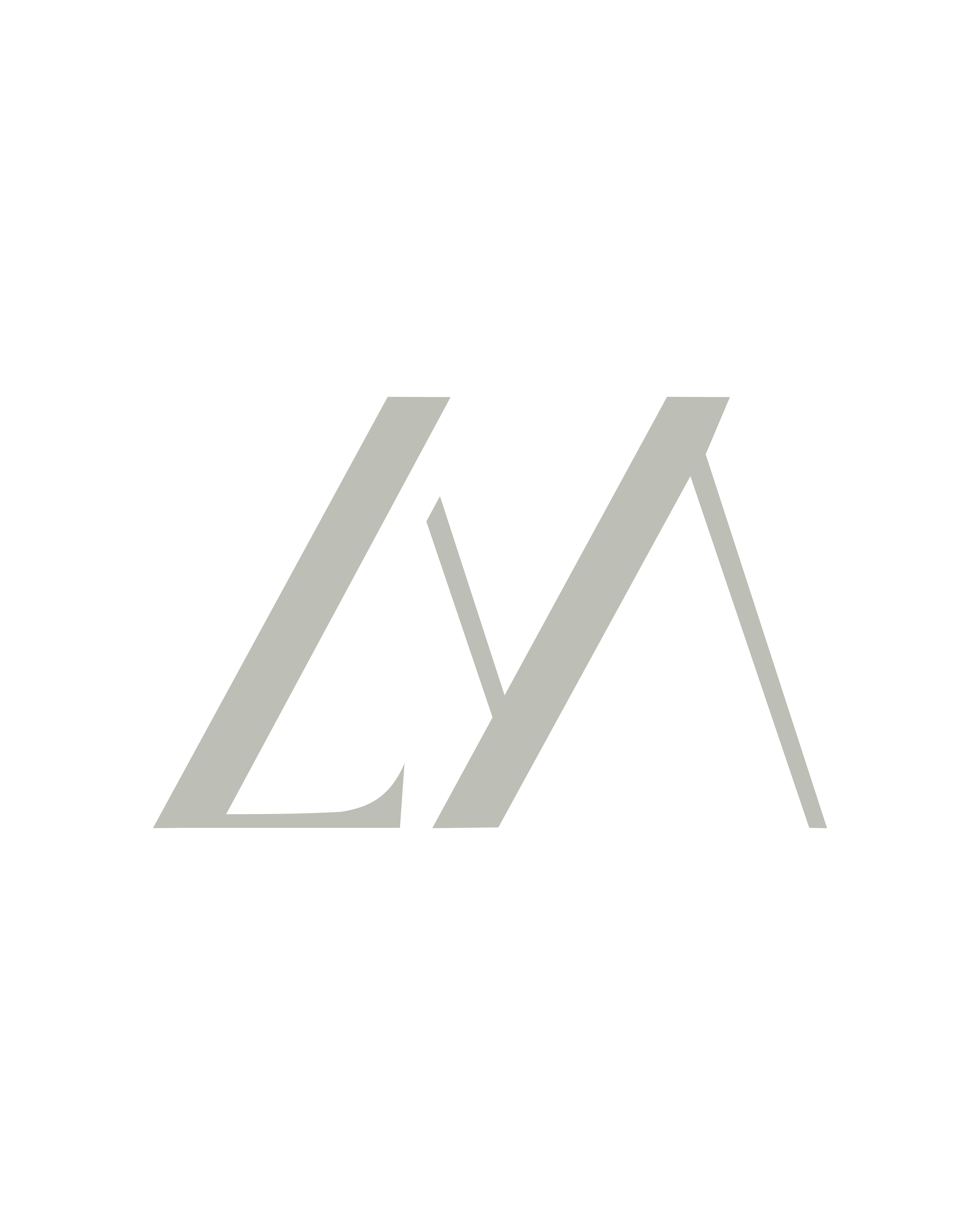 Levy Martin Logo